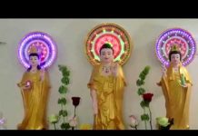 Người Phật Tử Chân Chính – Thích Trí Huệ nguoi phat tu chan chinh thich t