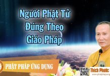 Người Phật Tử Đúng Theo Giáo Pháp – Thích Phước Nghiêm 2016 nguoi phat tu dung theo giao pha