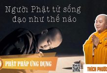 Người Phật Tử Sống Đạo Như Thế Nào? – Thích Phước Tiến nguoi phat tu song dao nhu the n