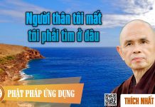 Người Thân Tôi Mất Tôi Phải Tìm Ở Đâu – Thích Nhất Hạnh nguoi than toi mat toi phai tim