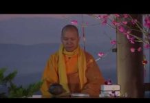 Người Xuất Gia Tu Học Như Thế Nào – Thích Minh Thành nguoi xuat gia tu hoc nhu the na