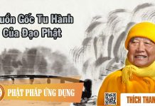 Nguồn Gốc Tu Hành Của Đạo Phật – Thích Thanh Từ nguon goc tu hanh cua dao phat t