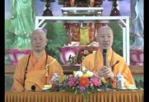 Nguồn Hạnh Phúc phần 1 – Thích Thiện Thuận nguon hanh phuc phan 1 thich thi