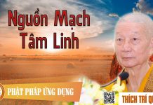 Nguồn Mạch Tâm Linh – Thích Trí Quảng nguon mach tam linh thich tri qu