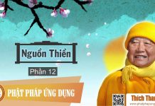 Nguồn Thiền Phần 12 – Thích Thanh Từ nguon thien phan 12 thich thanh