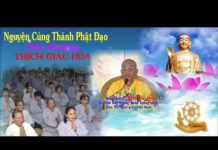 Nguyện Cùng Thành Phật Đạo – Thích Giác Hóa nguyen cung thanh phat dao thich
