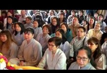 Nguyên Lai Bổn Tánh – Thích Trí Huệ nguyen lai bon tanh thich tri hu