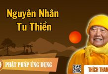 Nguyên Nhân Tu Thiền – Thích Thanh Từ nguyen nhan tu thien thich thanh