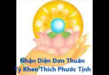 Nhận Diện Đơn Thuần – Thích Phước Tịnh nhan dien don thuan thich phuoc