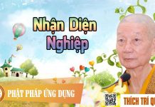 Nhận Diện Nghiệp – Thích Trí Quảng nhan dien nghiep thich tri quang