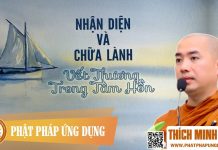 Nhận Diện Và Chữa Lành Vết Thương Trong Tâm Hồn (KT71) – Thầy Thích Minh Niệm 2016 nhan dien va chua lanh vet thuon