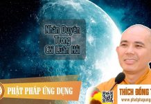 Nhân Duyên Trong Cõi Luân Hồi (KT94) – Thích Đồng Thành nhan duyen trong coi luan hoi kt