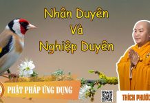 Nhân Duyên Và Nghiệp Duyên – Thích Phước Tiến nhan duyen va nghiep duyen thich
