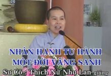 Nhân Hạnh Tu Hành Một Đời Vãng Sanh – Thích Nữ Như Lan nhan hanh tu hanh mot doi vang s