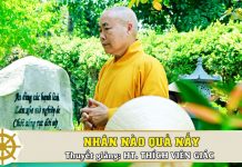 Nhân nào quả nấy – Thích Viên Giác nhan nao qua nay thich vien giac