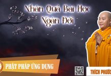 Nhân Quả Bài Học Ngàn Đời (Cause And Effect – The Eternal Lesson) – Thích Phước Tiến nhan qua bai hoc ngan doi cause