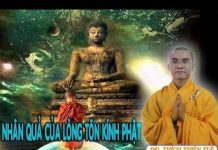 Nhân Quả Của Lòng Tôn Kính Phật – Thích Thiện Tuệ nhan qua cua long ton kinh phat
