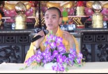 Nhân Quả Kiêu Mạn – Thích Thiện Tuệ nhan qua kieu man thich thien tu
