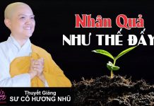 Nhân Quả Như Thế Đấy – Thích Nữ Hương Nhũ nhan qua nhu the day thich nu hu