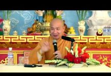Nhân Quả Sau Khi Chết – Thích Trí Huệ nhan qua sau khi chet thich tri