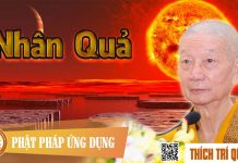Nhân Quả – Thích Trí Quảng nhan qua thich tri quang