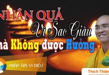 Nhân Quả Vì Sao Giàu Mà Không Được Hưởng – Thích Thiện Tuệ nhan qua vi sao giau ma khong du