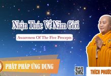 Nhận Thức Về 5 Giới – Thích Phước Tiến nhan thuc ve 5 gioi thich phuoc