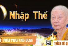 Nhập Thế – Thích Trí Quảng nhap the thich tri quang