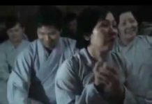 Nhiều Như Lá Rừng – Thích Minh Thành nhieu nhu la rung thich minh tha