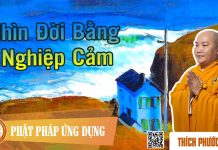 Nhìn Đời Bằng Nghiệp Cảm – Thích Phước Tiến nhin doi bang nghiep cam thich p