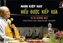 Nhìn kiếp này hiểu được kiếp xưa – Thích Nữ Hương Nhũ nhin kiep nay hieu duoc kiep xua