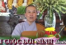 Nhìn Lại Cuộc Đời Mình – Thích Nữ Như Lan nhin lai cuoc doi minh thich nu