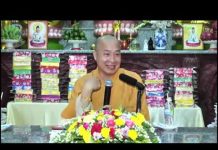 Nhìn Lại Đường Tu – Thích Trí Huệ nhin lai duong tu thich tri hue