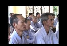 Nhìn Lại Mới Biết Mình Sai – Thích Trí Huệ nhin lai moi biet minh sai thich
