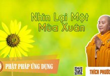 Nhìn Lại Một Mùa Xuân – Thích Phước Tiến nhin lai mot mua xuan thich phuo