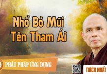Nhổ Bỏ Mũi Tên Tham Ái – Thích Nhất Hạnh nho bo mui ten tham ai thich nha