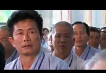 Nhổ Mũi Tên Phiền Muộn – Thích Đồng Thành nho mui ten phien muon thich don