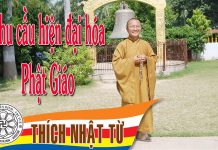 Nhu cầu hiện đại hóa Phật Giáo – Thích Nhật Từ – 17/10/2004 nhu cau hien dai hoa phat giao t