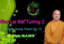 Như Lai bát tướng phần 2 – Thích Pháp Hòa nhu lai bat tuong phan 2 thich p