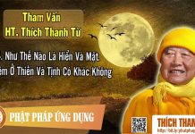 Như Thế Nào Là Hiển Và Mật, Vô Niệm Ở Thiền Và Tịnh Có Khác Không – Tham vấn HT ThíchThanh Từ 24 nhu the nao la hien va mat vo ni