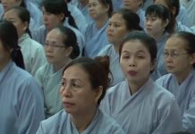 Như Voi Giữa Trận – Thích Chân Tính nhu voi giua tran thich chan tin