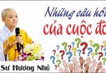 Những Câu Hỏi Của Cuộc Đời – Thích Nữ Hương Nhũ nhung cau hoi cua cuoc doi thich