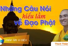 Những Câu Nói Hiểu Lầm Về Đạo Phật – Thích Thiện Tuệ nhung cau noi hieu lam ve dao ph