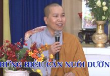 Những Điều Cần Nuôi Dưỡng – Thích Nữ Như Lan nhung dieu can nuoi duong thich 1