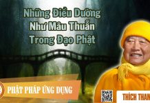 Những Điều Dường Như Mâu Thuẫn Trong Đạo Phật – Thích Thanh Từ nhung dieu duong nhu mau thuan t