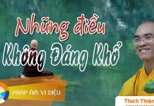 Những Điều Không Đáng Khổ – Thích Thiện Tuệ nhung dieu khong dang kho thich