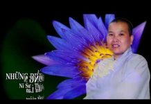 Những điều không nên – Thích Nữ Như Lan nhung dieu khong nen thich nu nh