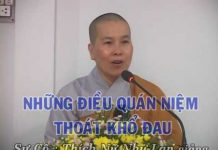 Những Điều Quán Niệm Thoát Khổ Đau – Thích Nữ Như Lan nhung dieu quan niem thoat kho d