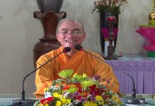 Những Gì Bạn Có Là Những Gì Bạn Chọn – Thích Thiện Tuệ nhung gi ban co la nhung gi ban