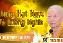 Những Hạt Ngọc Vô Lượng Nghĩa – Thích Trí Quảng nhung hat ngoc vo luong nghia th